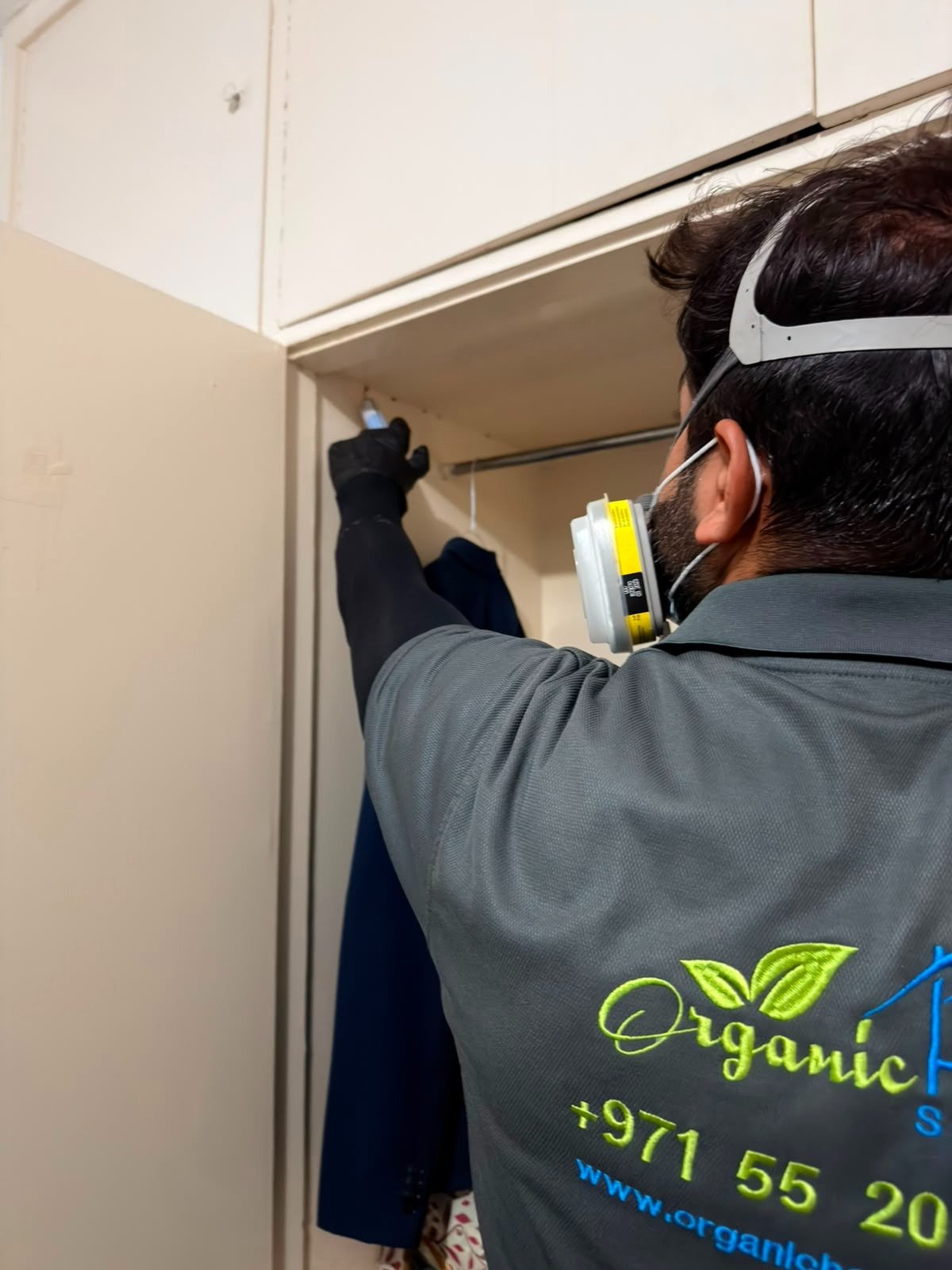 Pest Control Services